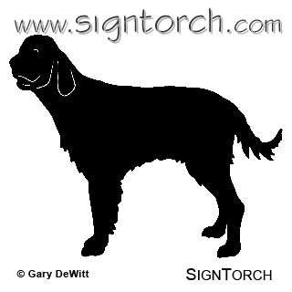 (image for) English Setter =