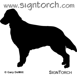 (image for) Flat-coated Retriever 2 _