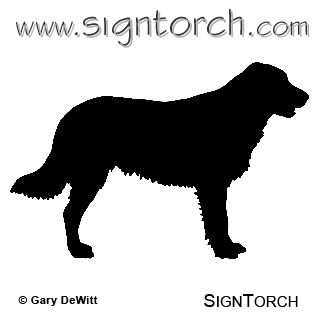 (image for) Flat Coated Retriever _