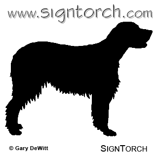 (image for) Gordon Setter _