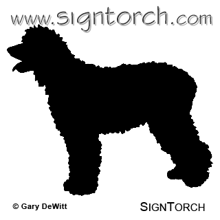 (image for) Irish Water Spaniel _