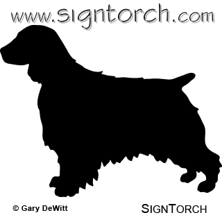 (image for) Welsh Springer Spaniel 2 _