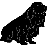 (image for) Sussex Spaniel =