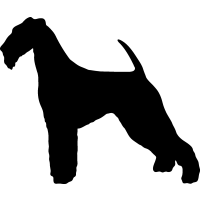 (image for) Airedale Terrier 3 _
