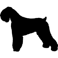 (image for) Black Russian Terrier 2 _