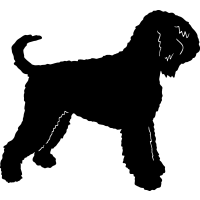 (image for) Black Russian Terrier =