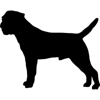 (image for) Border Terrier 6 _