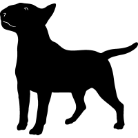 (image for) Bull Terrier 34 =