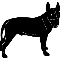 (image for) Bull Terrier 35 =