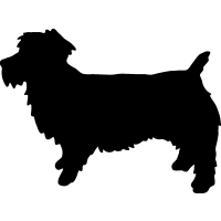 (image for) Glen Of Imaal Terrier 2 _