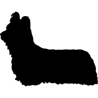 (image for) Skye Terrier 2 _