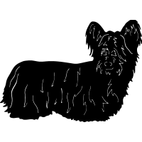(image for) Skye Terrier =