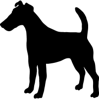 (image for) Smooth Fox Terrier 2 _