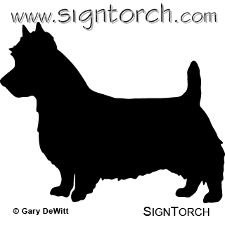 (image for) Australian Terrier 02 _