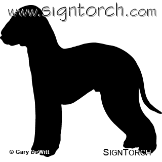 (image for) Bedlington Terrier 2 _