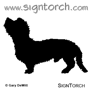 (image for) Dandie Dinmont Terrier _