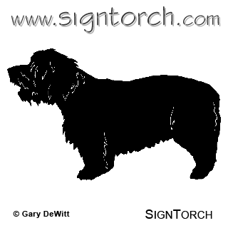 (image for) Glen Of Imaal Terrier =