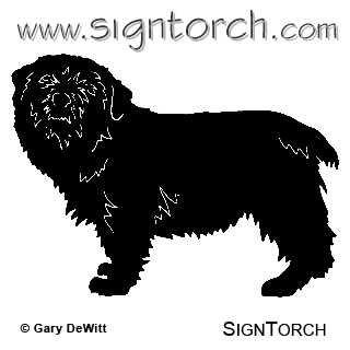 (image for) Norfolk Terrier =