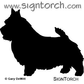 (image for) Norwich Terrier 2 _