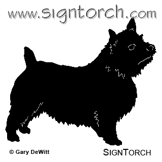 (image for) Norwich Terrier =