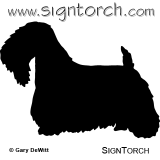 (image for) Sealyham Terrier 3 _