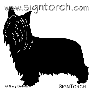 (image for) Silky Terrier 1 =