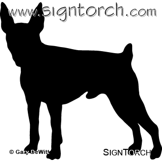 (image for) Toy Fox Terrier 1 _