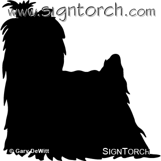 (image for) Yorkshire Terrier 2 _