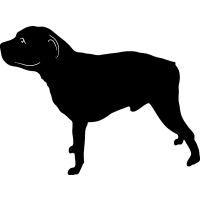 (image for) Staffordshire Bull 2 =