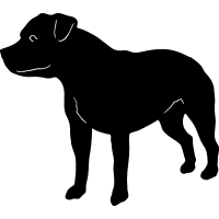 (image for) Staffordshire Bull 3 =