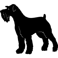 (image for) Terrier 2 =