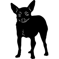 (image for) Toy Fox Terrier =