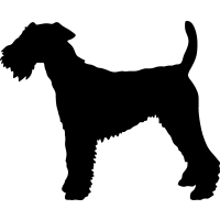 (image for) Welsh Terrier _
