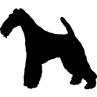 (image for) Wire Fox Terrier 0 _