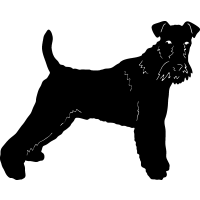 (image for) Wire Fox Terrier 1 =