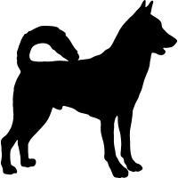 (image for) Canaan Dog 2 =
