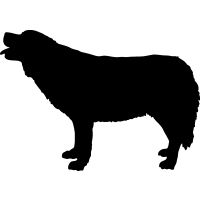 (image for) Eskimo Dog _