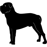 (image for) Mastiff 2 =