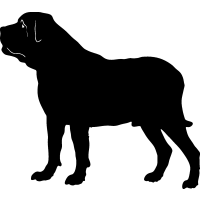 (image for) Mastiff =