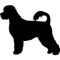 (image for) Portuguese Water Dog 2 =