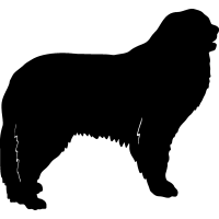 (image for) Pyrenean Mountain Dog =