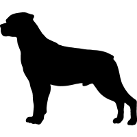 (image for) Rottweiler 2 _