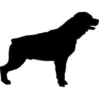 (image for) Rottweiler _