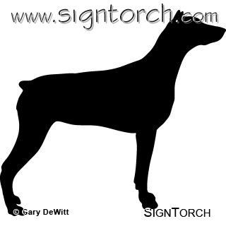 (image for) Doberman _