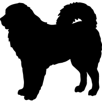 (image for) Tibetan Mastiff 2 =