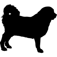(image for) Tibetan Mastiff =