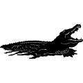 (image for) Alligator 1 =