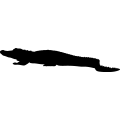 (image for) Alligator 3a _