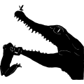 (image for) Alligator 6 =