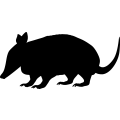 (image for) Armadillo 2a _